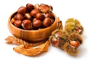 horse chestnut for prostatitis treatment